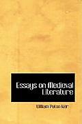 Essays on Medieval Literature