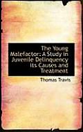 The Young Malefactor: A Study in Juvenile Delinquency Its Causes and Treatment