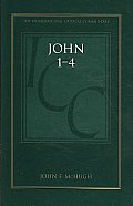 John 1-4: A Critical and Exegetical Commentary