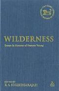 Wilderness: Essays in Honour of Frances Young