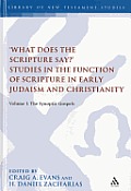'What Does the Scripture Say?' Studies in the Function of Scripture in Early Judaism and Christianit: Volume 1: The Synoptic Gospels