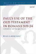 Paul's Use of the Old Testament in Romans 9:19-24: An Intertextual and Theological Exegesis