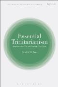 Essential Trinitarianism: Schleiermacher as Trinitarian Theologian
