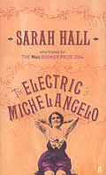 Electric Michelangelo