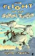 Flight Of The Silver Turtle
