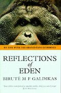 Reflections Of Eden My Life With The Oragutans Of Borneo
