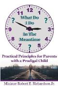 What Do I Do In The Meantime?: Practical Principles for Parents with a Prodigal Child