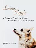 Losing Siggie