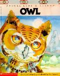 Animal Lore & Legend Owl