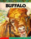 Animal Lore & Legend Buffalo