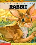 Animal Lore & Legend Rabbit