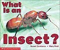 What Is An Insect Science Emergent Reade