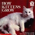 How Kittens Grow Read With Me