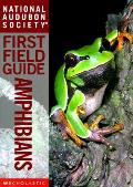 Audubon First Field Guide Amphibians
