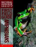 Audubon First Field Guide Amphibians