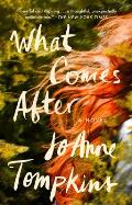 What Comes After A Novel