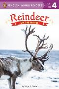 Reindeer: On the Move!