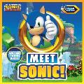 Meet Sonic A Sonic the Hedgehog Storybook