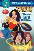 Big Bullies DC Super Heroes Wonder Woman