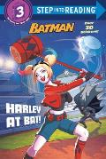 Harley at Bat DC Super Heroes Batman