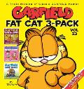 Garfield Fat Cat 3 Pack 23