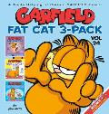 Garfield Fat Cat 24