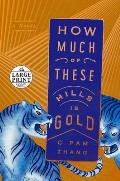 How Much of These Hills Is Gold - Large Print Edition