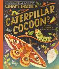 Whats Inside a Caterpillar Cocoon
