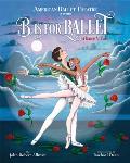 B Is for Ballet A Dance Alphabet American Ballet Theatre