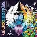 Kaleidomorphia Celebrating Kerby Rosaness Coloring Challenges