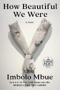 How Beautiful We Were - Large Print Edition