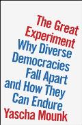 Great Experiment Why Diverse Democracies Fall Apart & How They Can Endure