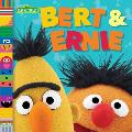 Bert & Ernie Sesame Street Friends