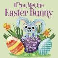 If You Met the Easter Bunny