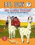 Are Llamas Ticklish 1 & Other Silly Questions from Curious Kids
