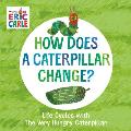 How Does a Caterpillar Change Life Cycles with The Very Hungry Caterpillar