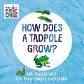How Does a Tadpole Grow Life Cycles with The Very Hungry Caterpillar