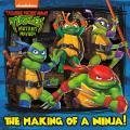 Teenage Mutant Ninja Turtles Mutant Mayhem Pictureback