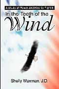 In the Teeth of the Wind: A Study of Power and How to Fight It