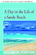A Day in the Life of a Sandy Beach