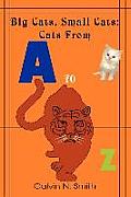 Big Cats, Small Cats: Cats From 'A' to 'Z'