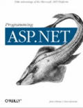 Programming ASP.NET 1st Edition