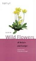 Guide To Wild Flowers Of Britain & Europe