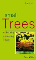 Small Trees Choosing Planting Care Exper