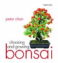 Choosing & Growing Bonsai