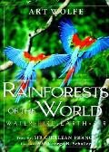 Rainforests Of The World Water Fire