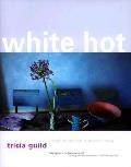 White Hot Cool Colors For Modern Living