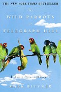 Wild Parrots Of Telegraph Hill A Love St
