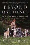 Beyond Obedience: Training with Awareness for You & Your Dog