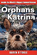 Orphans of Katrina
